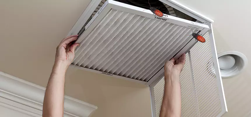 Preventive Cockroach-Proofing for Ducts in North Las Vegas