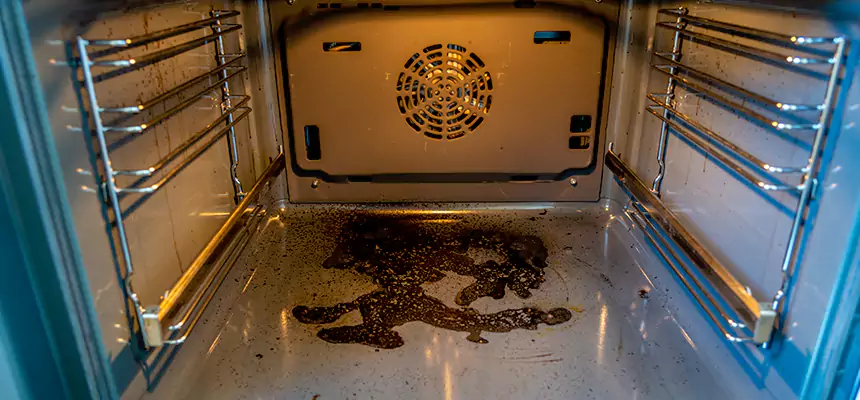 Our Dryer Vent Mold Cleaning Services in North Las Vegas, NV