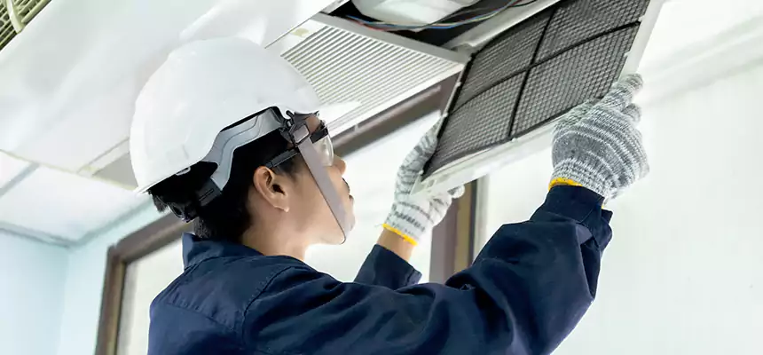 Our Mold & Mildew Removal from Air Ducts Services in North Las Vegas, NV