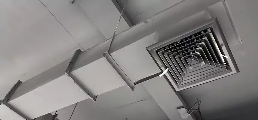 Our Rodent Droppings In Vents Services in North Las Vegas, NV