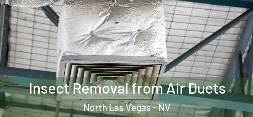  Insect Removal from Air Ducts North Las Vegas - NV