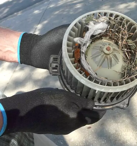 About Air Duct Rat Removal in North Las Vegas, NV