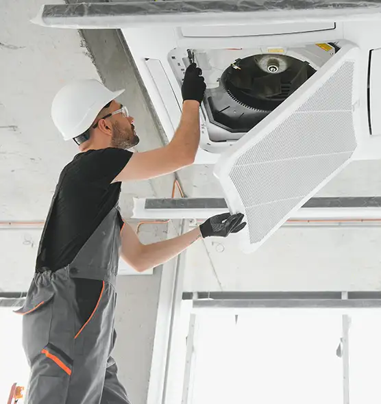 About Air Duct Rodent Removal in North Las Vegas, NV