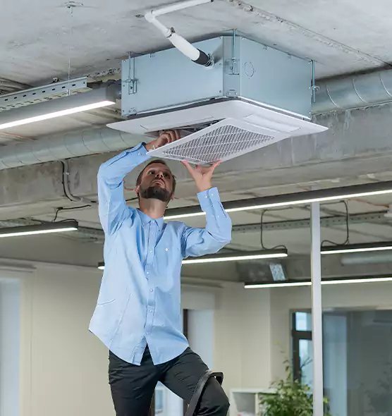 Advanced Rodent Droppings In Vents in North Las Vegas, NV