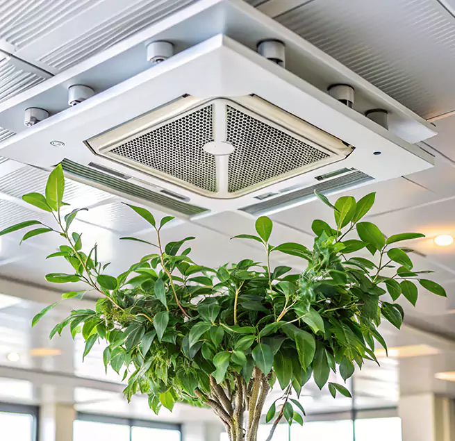 Why Homeowners & Businesses Trust Us in North Las Vegas, NV?