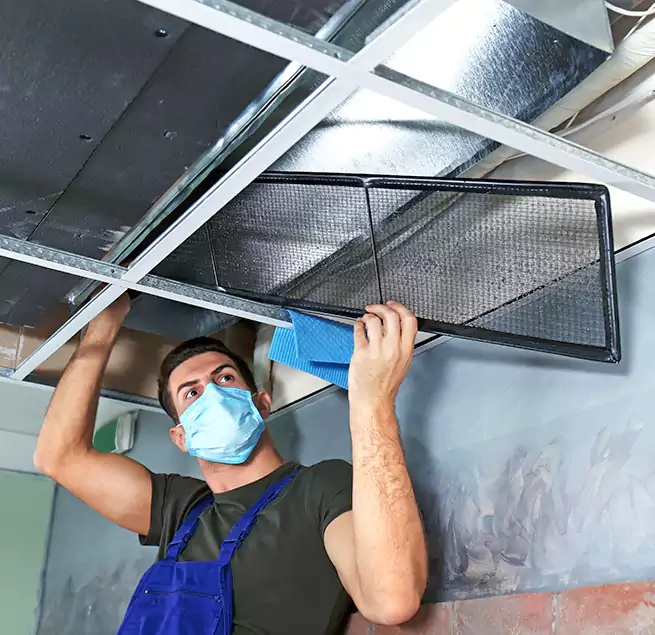 Why Homeowners Businesses Trust Us in North Las Vegas, NV